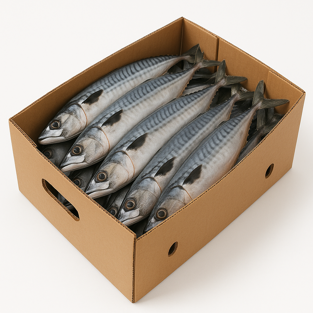 Poisson Maquereau 1 Kg