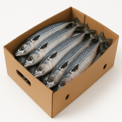 Poisson Maquereau 1 Kg