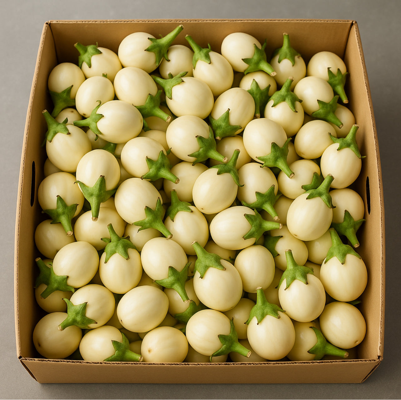 Aubergine blanche africaine – fraîche et savoureuse 1 sac