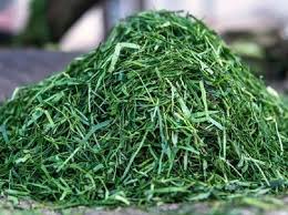 Feuille de Fumbwa congelé