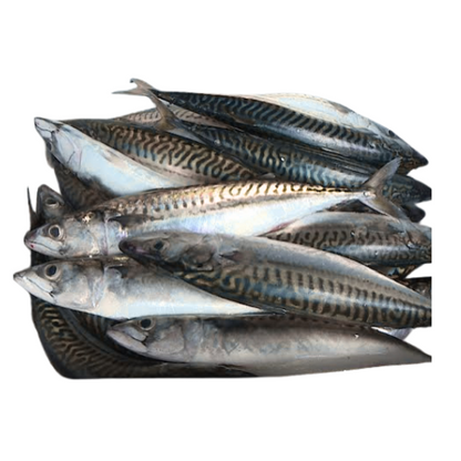 Poisson Maquereau 1 Kg