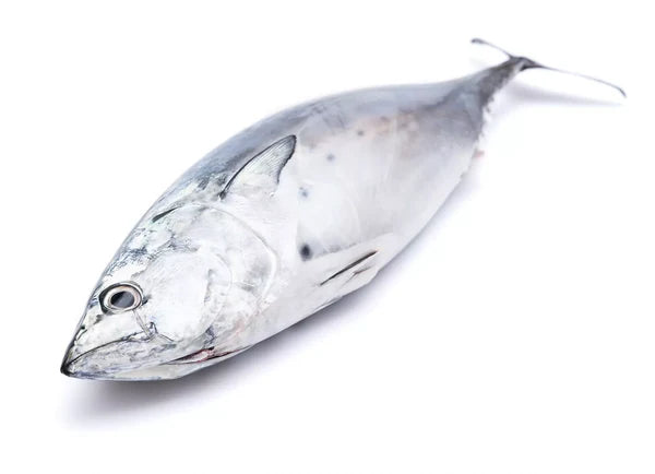 Poisson Thon frais 4Kg